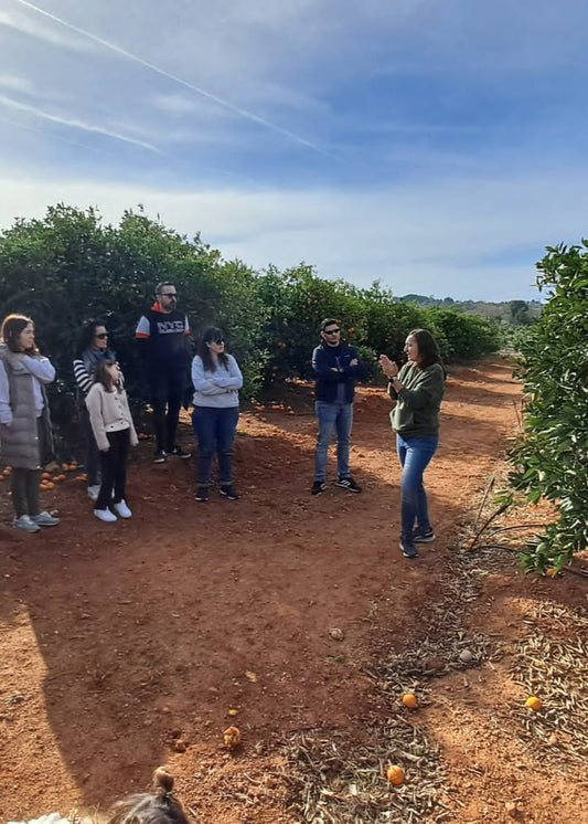 Visita Guiada con almuerzo